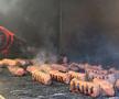 Rapid - FC Argeș, imagini înainte de meci
