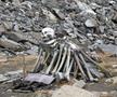 Zona din jurul Lacului Rookpund din Uttarakhand stârnește curiozitatea turiștilor întrucât aici s-au descoperit și încă mai există numeroase vârfuri de lance, artefacte, papuci de piele, cranii și schelete umane. Ele apar în special după topirea zăpezii. // Foto: Speakzeasy