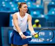 Simona Halep (30 de ani, 19 WTA) și rusoaica Anastasia Potapova (20 de ani, 68 WTA) se vor înfrunta marți, după ora 16:00, în șaisprezecimile de finală de la Kremlin Cup.