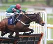 Tragedie în celebra cursă de la Cheltenham » Calul campion a murit în direct la TV.  Nu a fost singurul moment sumbru al zilei