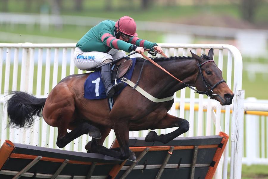 Bangers And Cash / Foto: GettyImages Tragedie în celebra cursă de la Cheltenham » Calul campion a murit în direct la TV. Nu a fost singurul moment sumbru al zilei