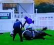 Tragedie în celebra cursă de la Cheltenham » Calul campion a murit în direct la TV.  Nu a fost singurul moment sumbru al zilei