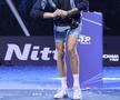 Sinner - Fritz, finala Turneului Campionilor 2024