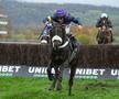 Abuffalosoldier, tragedie în cursa de la Cheltenham