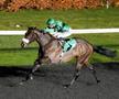 Tragedie în celebra cursă de la Cheltenham » Calul campion a murit în direct la TV.  Nu a fost singurul moment sumbru al zilei