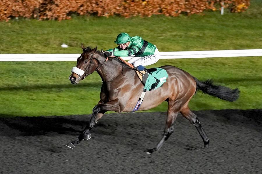 Napper Tandy Tragedie în celebra cursă de la Cheltenham » Calul campion a murit în direct la TV. Nu a fost singurul moment sumbru al zilei