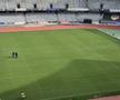 Gazon nou pe Cluj Arena // FOTO: Facebook @Consiliul Judetean Cluj