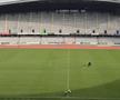 Gazon nou pe Cluj Arena // FOTO: Facebook @Consiliul Judetean Cluj