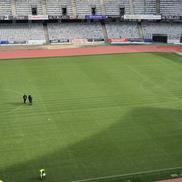 Gazon nou pe Cluj Arena // FOTO: Facebook @Consiliul Judetean Cluj