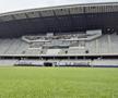 Gazon nou pe Cluj Arena // FOTO: Facebook @Consiliul Judetean Cluj