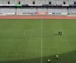 Gazon nou pe Cluj Arena // FOTO: Facebook @Consiliul Judetean Cluj