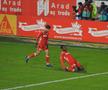 UTA - RAPID 1-1. Frustrare la Arad: gol în al șaptelea minut al prelungirilor! Clasamentul în Superliga