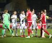 FC Botoșani - Dinamo, 18 decembrie 2023 / FOTO: Ionuț Tabultoc