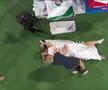 SIMONA HALEP - ONS JABEUR // FOTO Halep, probleme medicale la Dubai! Durerile la spate i-au dat emoții Simonei