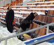 MM Stoica a pus umărul la deszăpezire/ Foto: GSP
