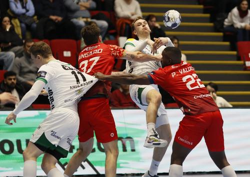 Dinamo - Fuchse Berlin / Foto: Cristi Preda (GSP)