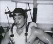 Vinny Pazienza