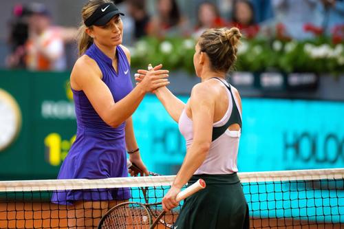 Simona Halep // FOTO: Imago