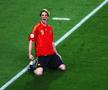 Fernando Torres - Finala EURO 2008