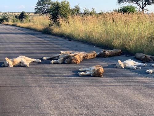 FOTO: SANParksKNP
