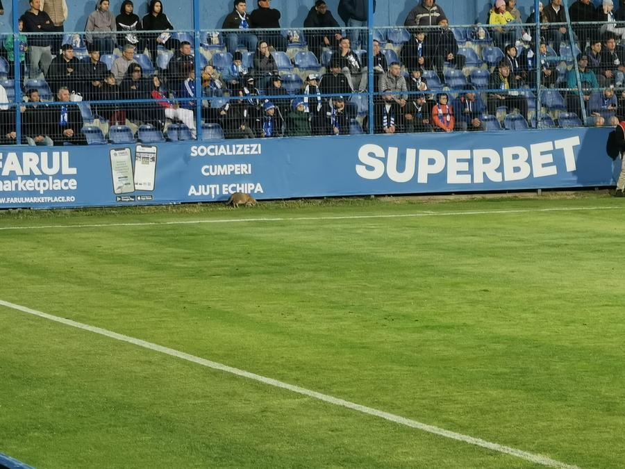 Ce nu s-a văzut la TV în Farul - CFR Cluj » Singurul „feroviar” care a avut ce sărbători după rușine