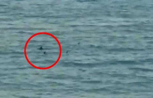 Înotătorul paralimpic Ariel Schrenck Martinez a fost aproape de un accident teribil // Sursă foto: The Sun