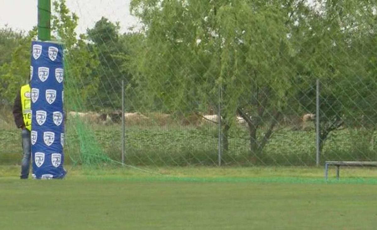 „Manita” la Buftea! FCSB a desființat-o pe CSA Steaua » Juniorii campioanei au făcut spectacol