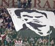 Galerie Rapid - evergreen