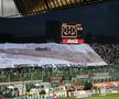 Galerie Rapid - evergreen