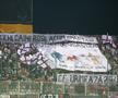Galerie Rapid - evergreen