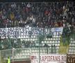 Galerie Rapid - evergreen