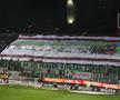Galerie Rapid - evergreen