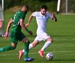 Amical CFR Cluj - Ludogoreț (foto: Raed Krishan/GSP)