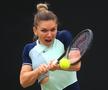 Simona Halep - Beatriz Haddad Maia 3-6, 6-2, 4-6. Ratăm o finală 100% românească istorică la Birmingham