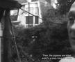 Tatăl lui Eddy Merckx, vorbind despre porumbeii fiului său/captură documentar „Merckx”