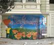 Imagini din San Francisco FOTO: Ionuț Iordache (GSP)
