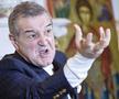 Val de ironii după ce FCSB a fost interzisă în Ghencea