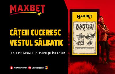 Aventură canină și câștiguri la The Dog House – Dog or Alive!