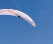 Mihaela Rădulescu a surprins ultimul zbor al lui Felix Baumgartner