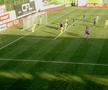 CS Mioveni - FC Argeș, întrerupt peste 10 minute din cauza VAR » Deciziile lui Hațegan