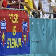 FCSB - Viking 1-2 (foto: Cristi Preda/GSP)