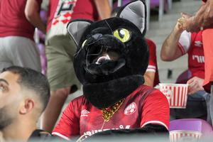 Meci din play-off-ul Ligii Campionilor în Giulești » De ce microbiștii români au fost interziși pe arenă + primele informații de la stadion