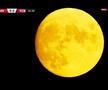 Iuliu Mureșan surprinde după eșecul lui Dinamo cu Botoșani » Care crede că a fost cheia meciului + ce spune de Bonetti