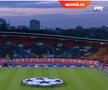 Scenografie spectaculoasă în Steaua Roșie - Benfica, foto: sportal.rs