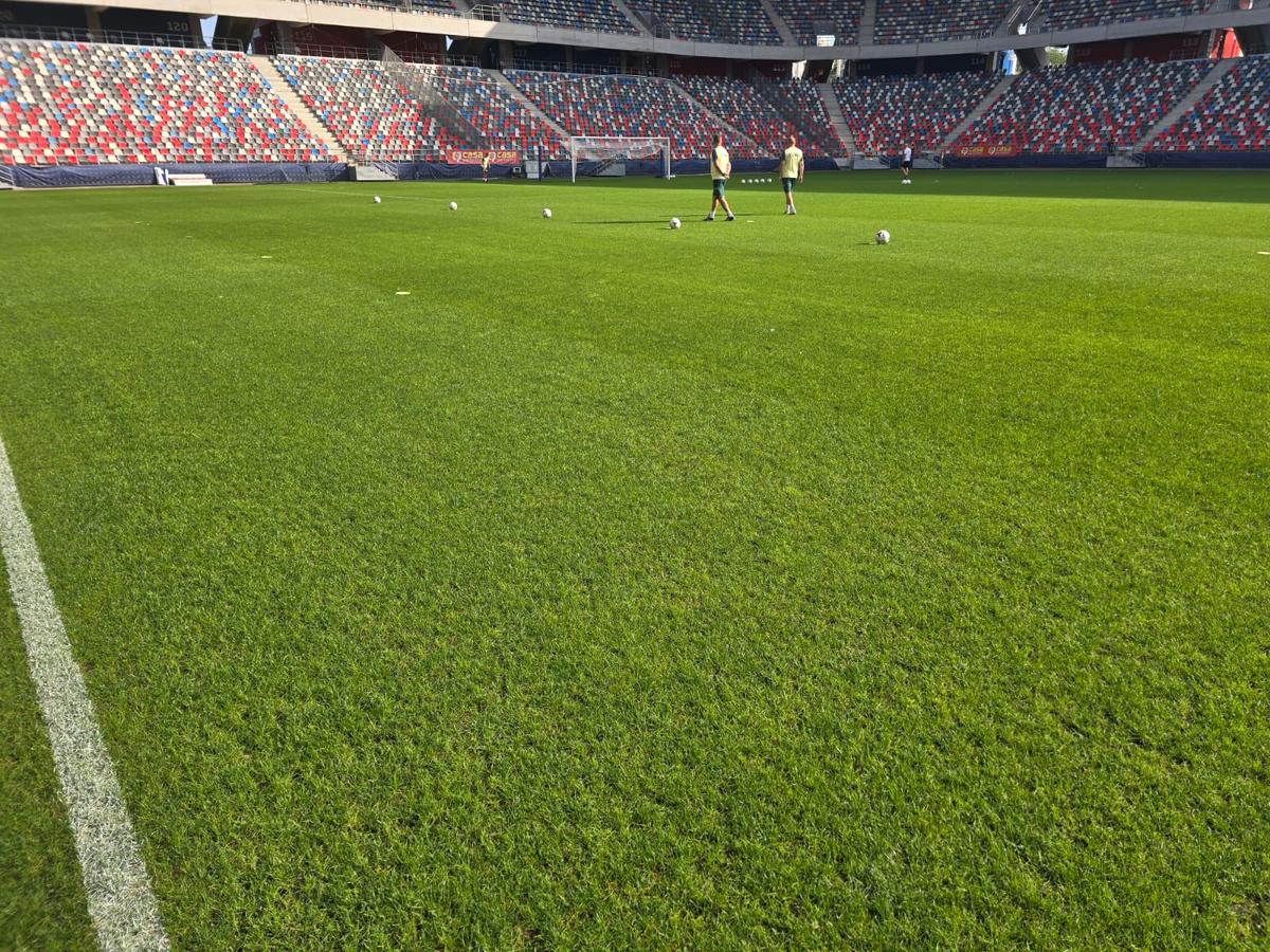 Steaua - Gloria Bistrița