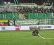 „Mulțumim, Bombardierule!” » Mesaj în limba română pe stadionul din Europa, la retragerea fostului campion din Liga 1