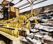 Stadioane distruse din Ucraina