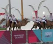 Cămilele sunt ajutoarele Poliției în Qatar