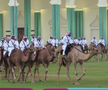Cămilele sunt ajutoarele Poliției în Qatar