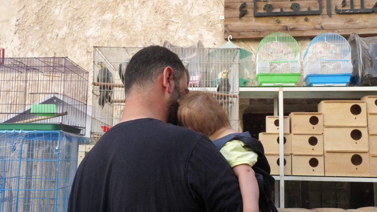 Păsările și animalele de companie, bătaie de joc în Qatar